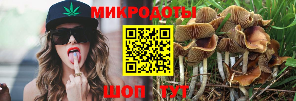 Псилоцибиновые грибы GOLDEN TEACHER  Вход с VPN  Лянтор 